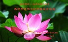 Published on 5/14/2013 ֹ,ൺ󷨵ӹʦ𻪵߷ִ(29)
