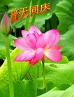 Published on 5/14/2013 ֹ,̽󷨵ӹʦ𻪵߷ִ(10)
