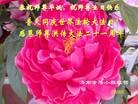 Published on 5/14/2013 ֹ,½󷨵ӹʦ𻪵߷ִ(75)
