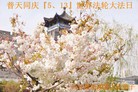 Published on 5/14/2013 ֹ,½󷨵ӹʦ𻪵߷ִ(75)
