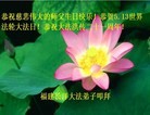 Published on 5/14/2013 ֹ,½󷨵ӹʦ𻪵߷ִ(75)
