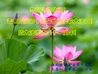 Published on 5/14/2013 ֹ,½󷨵ӹʦ𻪵߷ִ(75)
