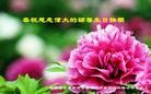 Published on 5/14/2013 ֹ,½󷨵ӹʦ𻪵߷ִ(75)
