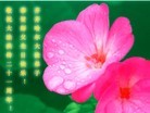 Published on 5/14/2013 ֹ,½󷨵ӹʦ𻪵߷ִ(75)
