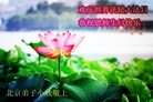 Published on 5/14/2013 ֹ,½󷨵ӹʦ𻪵߷ִ(56)
