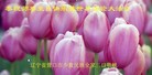 Published on 5/14/2013 ֹ,½󷨵ӹʦ𻪵߷ִ(38)
