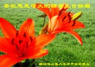 Published on 5/10/2013 ֹ,Ϋ󷨵ӹʦ𻪵編ִգ18

