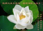 Published on 5/10/2013 ֹ,ҵ󷨵ӹʦ𻪵編ִգ42
