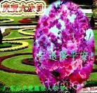 Published on 5/13/2013 ֹ,˹ף־ʦտ(31)
