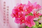 Published on 5/10/2013 ֹ,󷨵ӹʦ𻪵߷ִգ19

