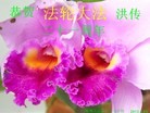 Published on 5/10/2013 ֹ,ϴ󷨵ӹʦ𻪵編ִգ20
