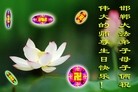 Published on 5/10/2013 ֹ,ӱ󷨵ӹʦ𻪵編ִգ22
