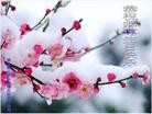 Published on 5/10/2013 ֹ,󷨵ӹʦ𻪵編ִգ22
