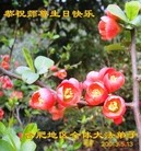 Published on 5/12/2013 ֹ,մ󷨵ӹʦ𻪵߷ִգ12
