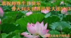 ֹ,󷨵ӹʦ𻪵ߴ󷨺鴫ʮ(19)

