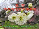 ֹ,ҵ󷨵ӹʦ𻪵ߴ󷨺鴫ʮ(30)
