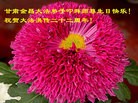 ֹ,󷨵ӹʦ𻪵ߴ󷨺鴫ʮ(19)
