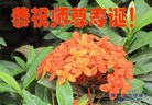 ֹ,ϴ󷨵ӹʦ𻪵ߴ󷨺鴫ʮ(19)
