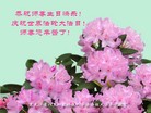 ֹ,󷨵ӹʦ𻪵ߴ󷨺鴫ʮ(23)
