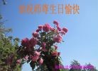 ֹ,ϴ󷨵ӹʦ𻪵ߴ󷨺鴫ʮ(19)
