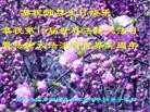 ֹ,󷨵ӹʦ𻪵ߴ󷨺鴫ʮ(24)
