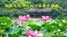 ֹ,󷨵ӹش󷨺鴫ʮʦ𻪵(20)
