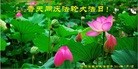 ֹ,󷨵ӹش󷨺鴫ʮʦ𻪵(20)
