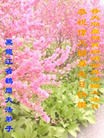 ֹ,󷨵ӹش󷨺鴫ʮʦ𻪵(25)
