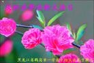 ֹ,󷨵ӹش󷨺鴫ʮʦ𻪵(25)
