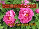 ֹ,󷨵ӹش󷨺鴫ʮʦ𻪵(20)
