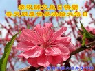 ֹ,󷨵ӹ編ִʦ𻪵(26)
