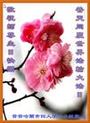 ֹ,󷨵ӹ編ִʦ𻪵(26)
