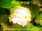 ֹ,󷨵ӹ編ִʦ𻪵(28)
