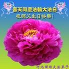 ���ֹ�,�ӱ��󷨵��ӹ������編�ִ�����ʦ�𻪵�(28��)
