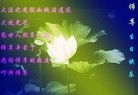 ֹ,󷨵ӹ編ִʦ𻪵(28)
