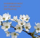 ���ֹ�,�ӱ��󷨵��ӹ���ʦ�𻪵��ߴ󷨺鴫��ʮ������(21��)
