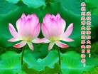 ֹ,󷨵ӹش󷨺鴫ʮʦ𻪵(25)
