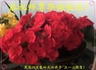 ֹ,󷨵ӹʦ𻪵ߴ󷨺鴫ʮ(25)
