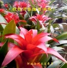 ���ֹ�,�ӱ��󷨵��ӹ���ʦ�𻪵��ߴ󷨺鴫��ʮ������(24��)
