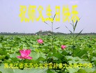 ֹ,󷨵ӹ編ִʦ𻪵(26)
