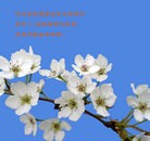 ���ֹ�,�ӱ��󷨵��ӹ���ʦ�𻪵��ߴ󷨺鴫��ʮ������(19��)
