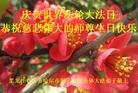 ֹ,󷨵ӹʦ𻪵ߴ󷨺鴫ʮ(24)
