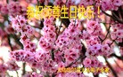 ֹ,󷨵ӹش󷨺鴫ʮʦ𻪵(28)
