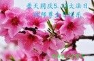 ֹ,󷨵ӹش󷨺鴫ʮʦ𻪵(24)

