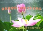ֹ,մ󷨵ӹش󷨺鴫ʮʦ𻪵(25)
