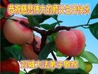 ֹ,󷨵ӹ編ִʦ𻪵(19)
