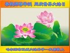 ֹ,󷨵ӹ編ִʦ𻪵(19)
