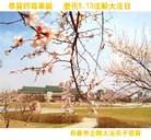 ���ֹ�,�����󷨵��ӹ������編�ִ�����ʦ�𻪵�(25��)
