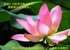 ֹ,󷨵ӹ編ִʦ𻪵(22)
