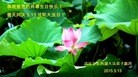 ֹ,󷨵ӹ編ִʦ𻪵(30)
